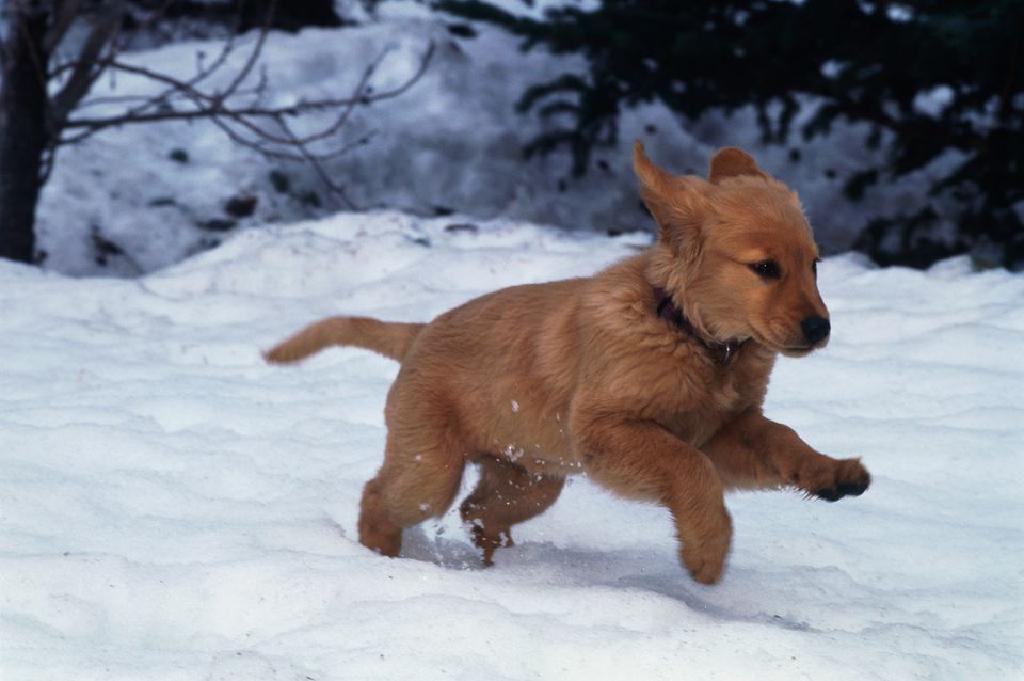 認識和治療小兒低體溫